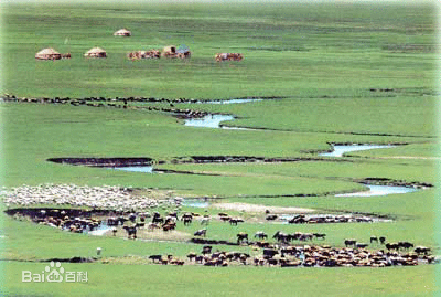 ‘三亿体育’张柏芝回应独过母亲节:他们开心我就开心