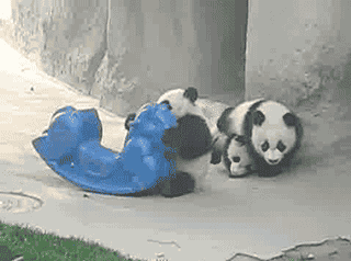 为什么现在开餐厅长久的越来越少?【三亿体育】(图2) 三亿体育