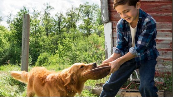 “三亿体育手机版”紫薯山药糕的做法(图2) 三亿体育手机版