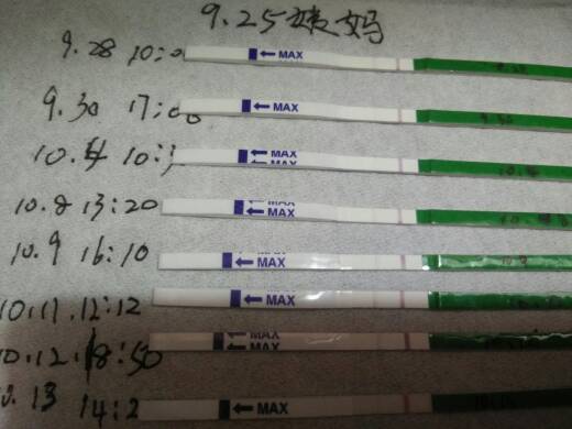 【三亿体育】LGD势不可挡杀入三强,决赛来虎牙直播见证偶数年荣耀(图3) 三亿体育官网