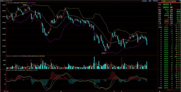 三亿体育-査可欣化名Kelli报名新能量 以新人姿态参加倍受关注(图4) 三亿体育官网