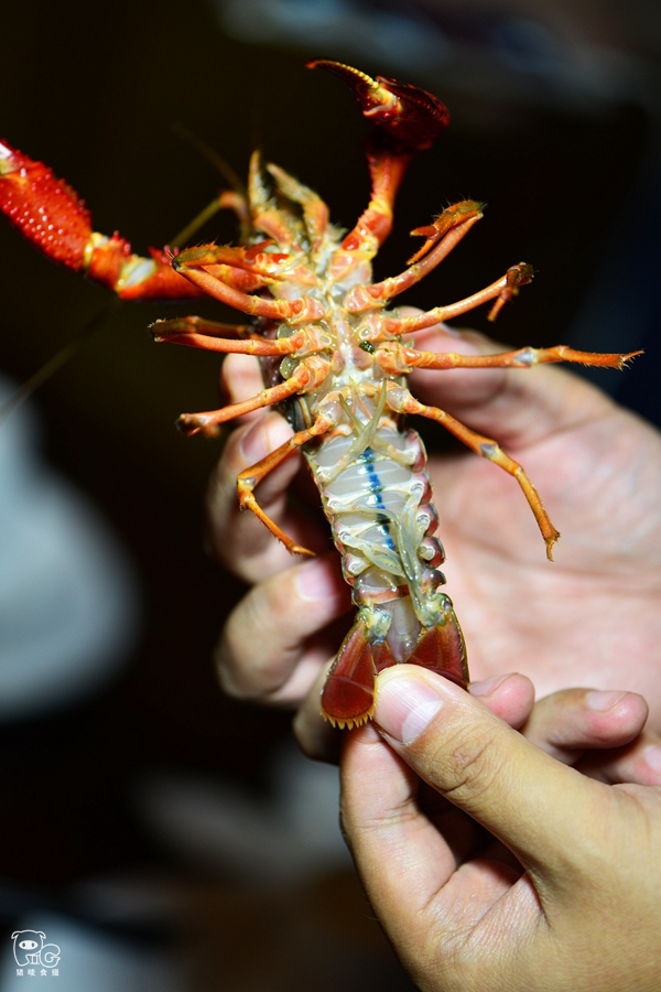 《面包树上的女人》沪上热拍  黄宗泽自曝私下是忧郁男|三亿体育