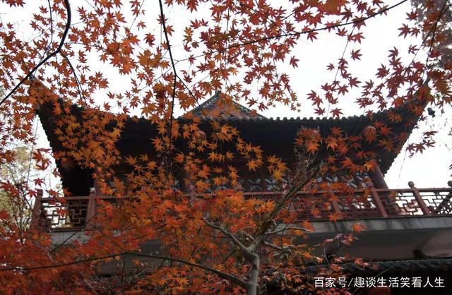 星巴克全球啡快概念店落户北京，主打外带服务‘三亿体育’