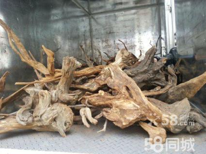 长洲村三酒店昨拍卖无人问津【三亿体育手机版】