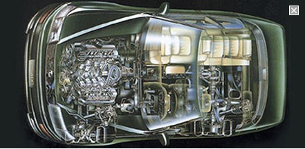 三亿体育：《植物大战僵尸2》摩登变身趴 你是哪一派?