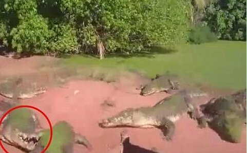 六星汽车宾馆龙岗中心城店正式开业‘三亿体育手机版’