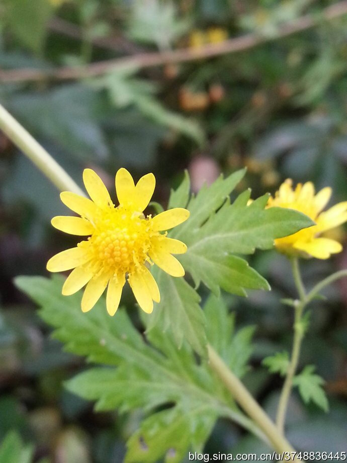 三亿体育手机版