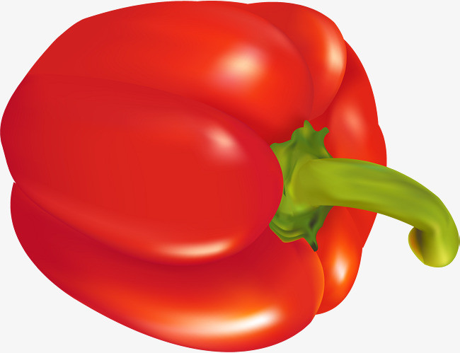 三亿体育手机版：「快爆小百科」— 所累哇多卡纳