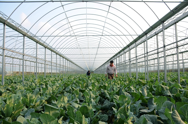 三亿体育官网_温州豪华游轮“明珠七号”造豪华五星级酒店(图2) 三亿体育官网