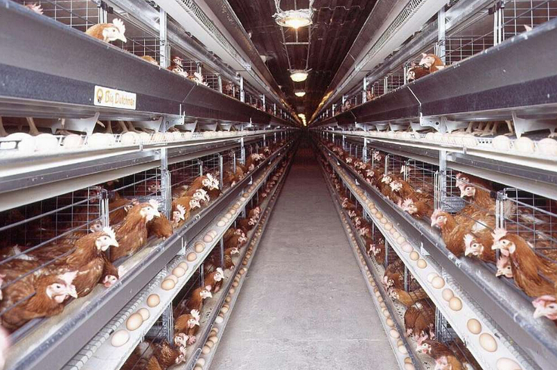 三亿体育手机版