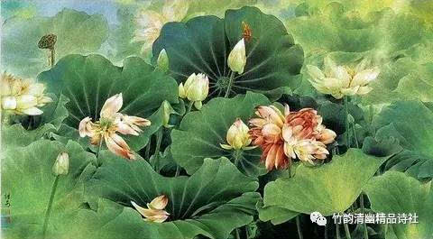 鱼美人浮出水面 沈鱼再现真容|三亿体育官网