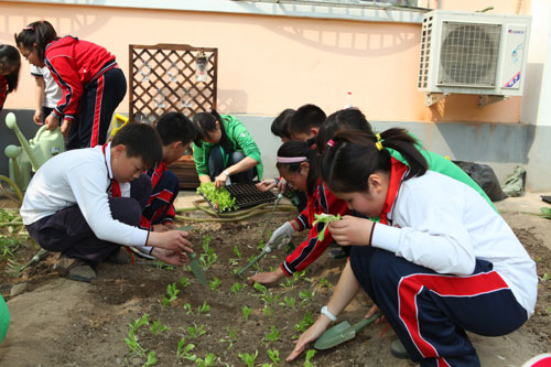 三亿体育手机版-家常麻辣土豆片的做法